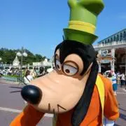 たこの画像