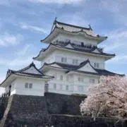 せいちゃん