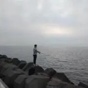 春樹の画像
