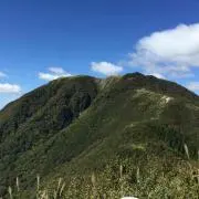 ぜっとん