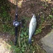 しょうた