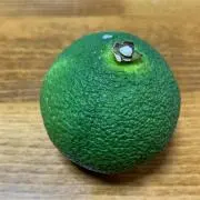 Mikan