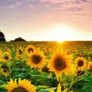☆☆【お値下げ交渉・おまとめ割引可能！】の画像
