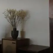 柊