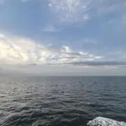 taku373の画像