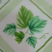 ハナの画像