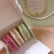 もさこ