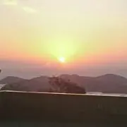ニット