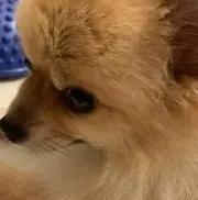 ぶっぷ