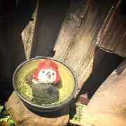 pakkuの画像