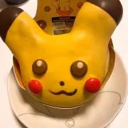 ぽちこの画像