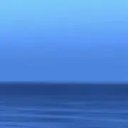 むぎの画像