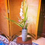 ちやめワタ。の画像