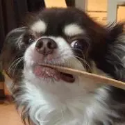 ゆみ