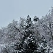 和の画像