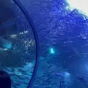 しおんの画像