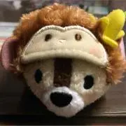 とこ