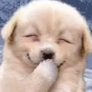 ちゃまちゃま