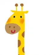 きんちゃんの画像