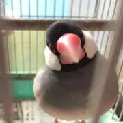うーた