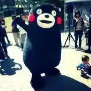 猫田の画像
