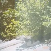 finaの画像
