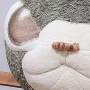 ピヨちー