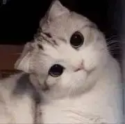 喜聞樂見