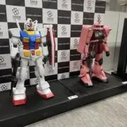 タチバナの画像