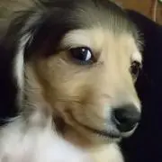 ひとみの画像
