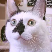 サトロン☆の画像