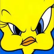 Yの画像