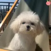 みのりん