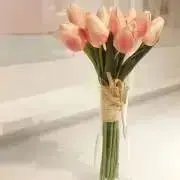 ちゅーりっぷの画像