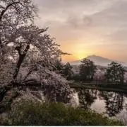 an.ko..の画像