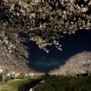 Mina10の画像