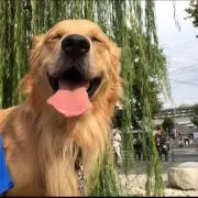 ヒデの画像