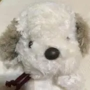umekichiの画像