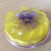 ふーちゃんの画像