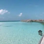 arinrinの画像