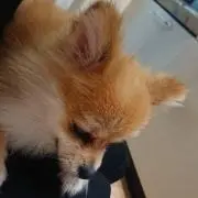 ちか