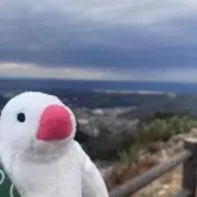 yukaの画像