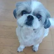 ムキムキガールの画像