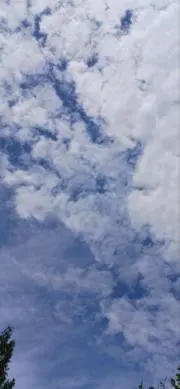 *きい*の画像