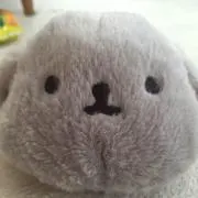 RYOKOの画像