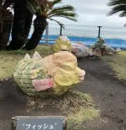コブダイちゃん（プロフお読み下さいませ）の画像