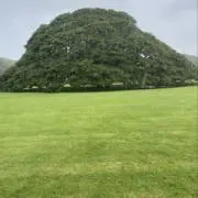 ゆう⭐︎即購入OK⭐︎の画像