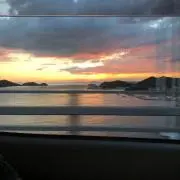 Pの画像