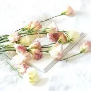 Bell♡即購入大歓迎！♡即日配送！！♡の画像