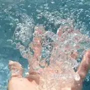 しじみ